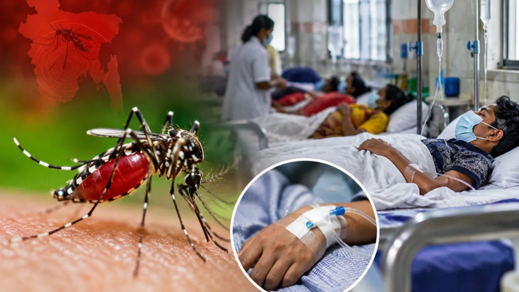 Dengue Death Toll Reaches 239 in Bangladesh as Nearly 2,000 More Patients Hospitalised