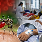 Dengue Death Toll Reaches 239 in Bangladesh as Nearly 2,000 More Patients Hospitalised