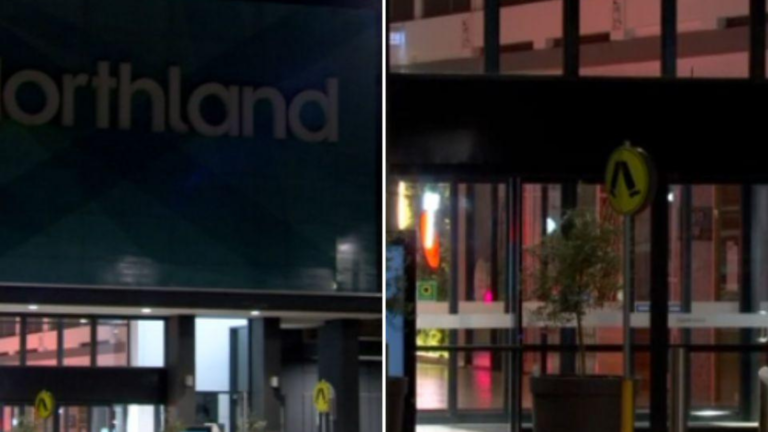 Five Arrested After Brawl Erupts at Melbourne’s Northland Shopping Centre