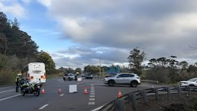 Five Seriously Injured in Major Two‑Vehicle Crash on Tasmania’s Bass Highway