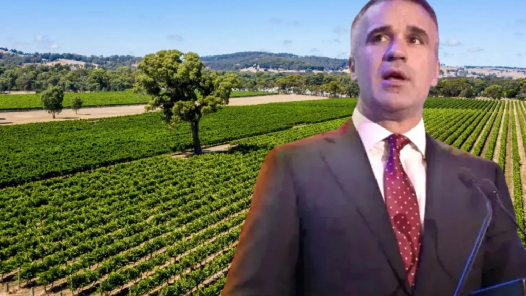 South Australia Unveils $109 Million Support Package for Struggling Wine Industry