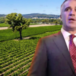 South Australia Unveils $109 Million Support Package for Struggling Wine Industry