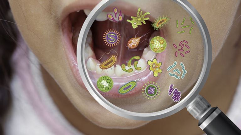 The Hidden Health Factor in Your Mouth: How Your Oral Microbiome Could Shape Your Entire Body