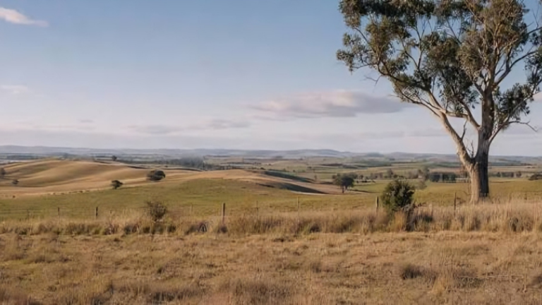 Victoria Orders Cost Review of $1.5 Billion Western Renewables Link Project