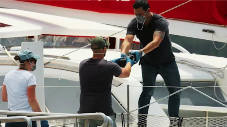 French Couple Jailed for 13 Years Over 484kg Cocaine Haul Hidden in Yacht
