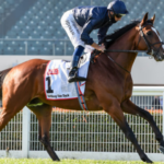 Melbourne Cup Favourites Draw Mixed Barriers Ahead of Australia’s Biggest Race