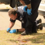 13-Year-Old Perth Drive-By Shooting Accused Remanded in Custody