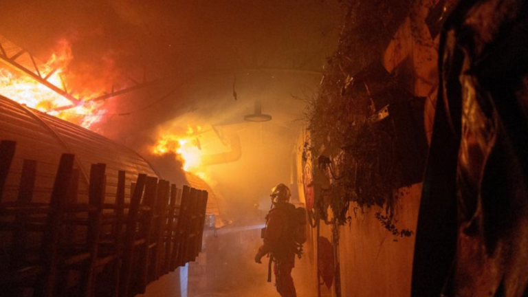 Fire Destroys Paris’s Historic Enfants Rouges Market