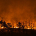 Indonesian Wildfires Trigger Regional Haze Crisis Across Southeast Asia