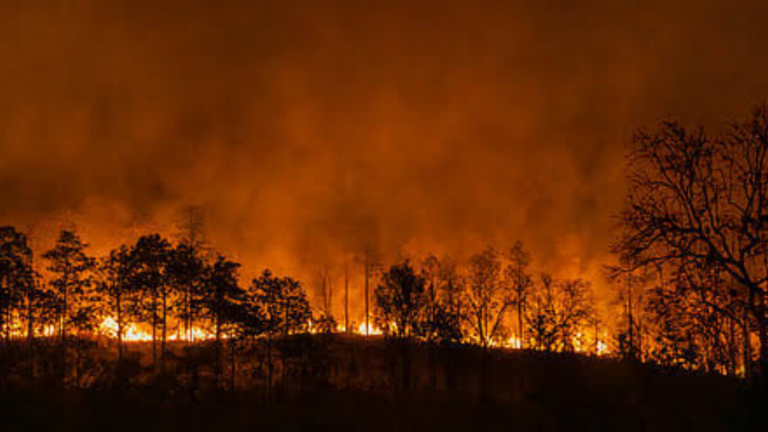 Indonesian Wildfires Trigger Regional Haze Crisis Across Southeast Asia