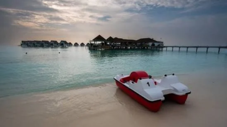 Maldives Workshop Highlights Underwater Photography as a Tool for Marine Conservation