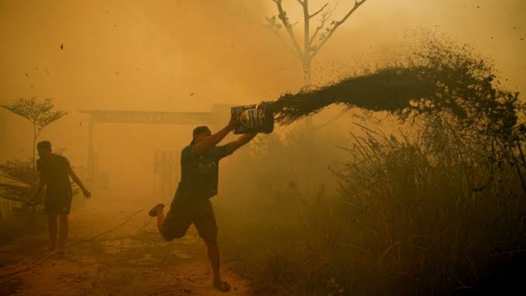 Nearly 300 Homes Destroyed as Wildfire Sweeps Through Indonesian Village