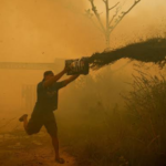 Nearly 300 Homes Destroyed as Wildfire Sweeps Through Indonesian Village