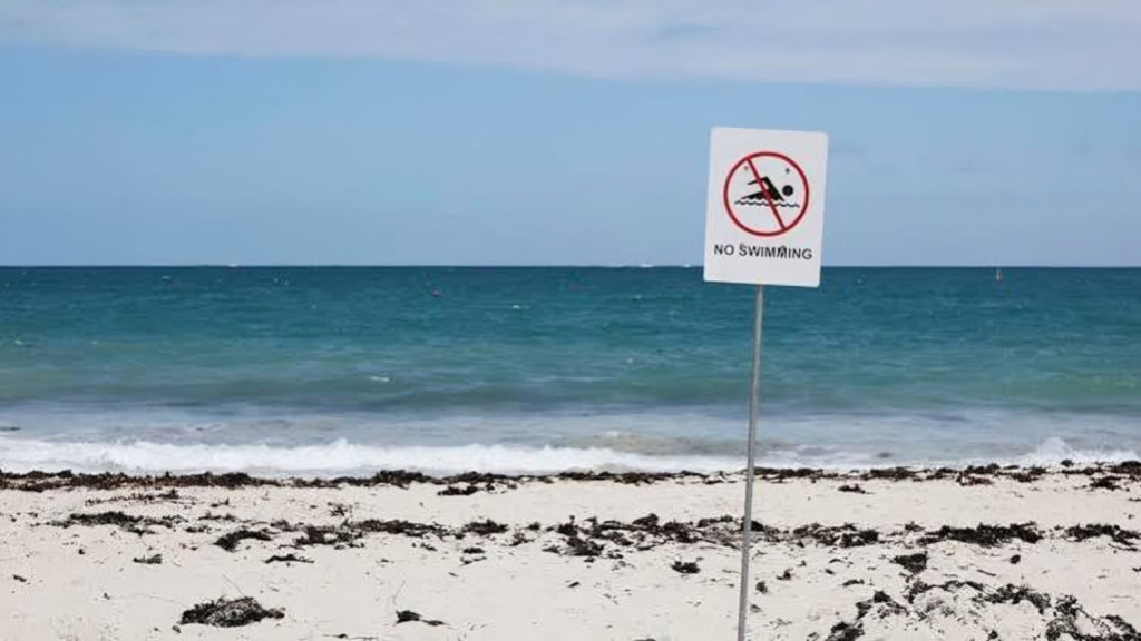 Whale Carcass Triggers Beach Closures and Shark Warnings at Perth’s Sorrento Beach